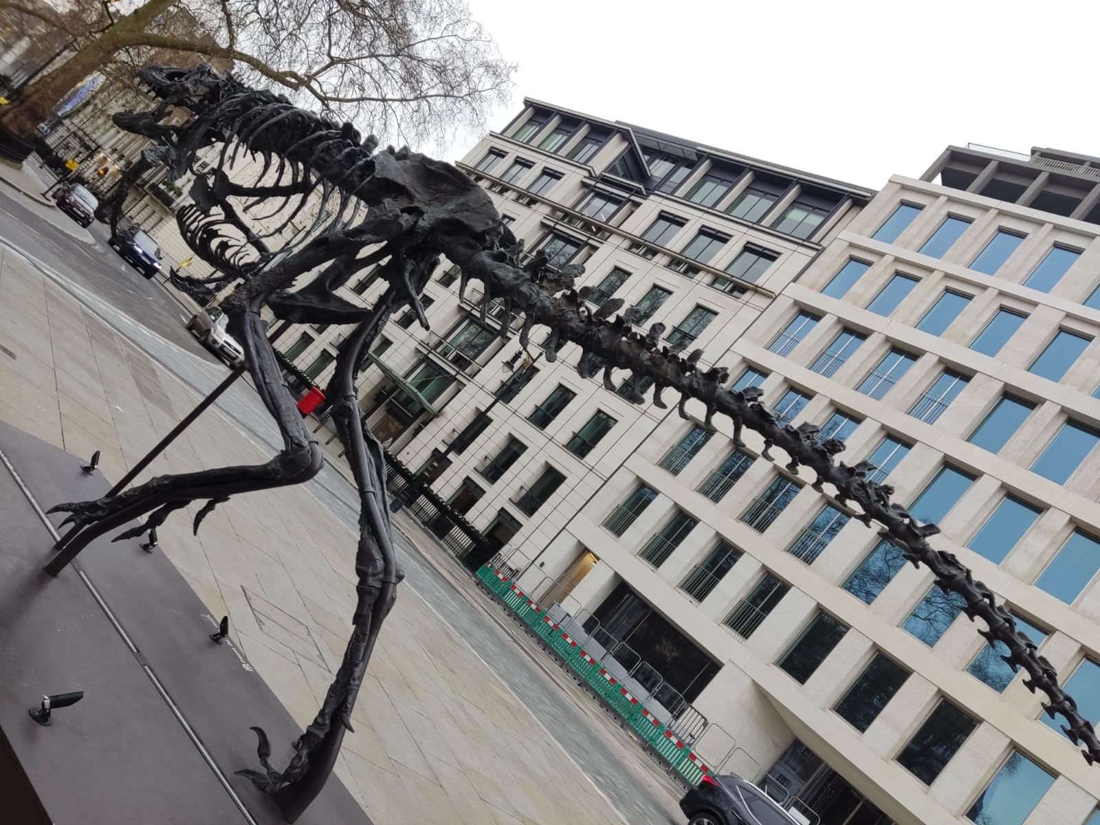 Dinosaur Skeleton Sculpture